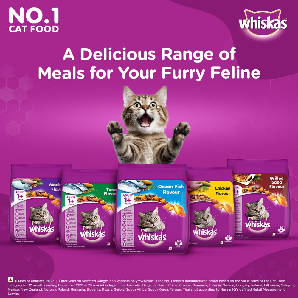 Whiskas Ocean Fish and Tuna Flavour Adult Cat Dry Food Combo
