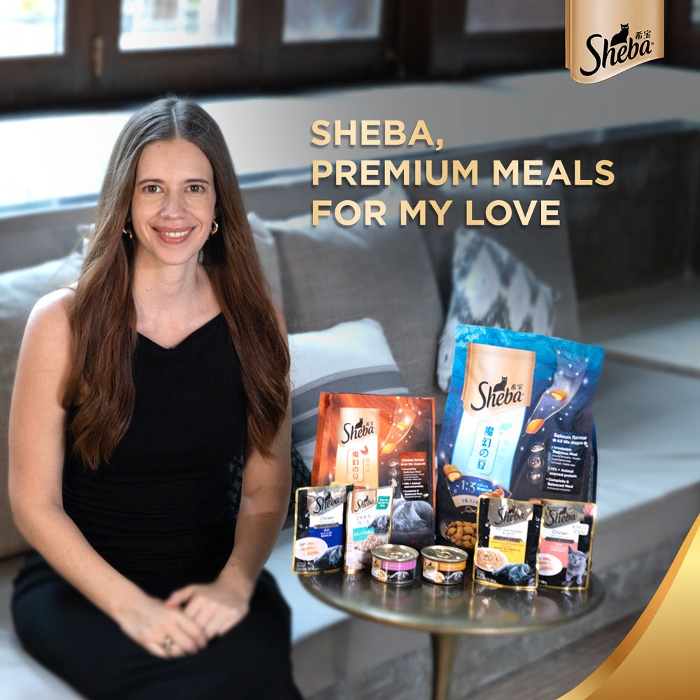 Sheba Chicken Loaf Premium Kitten (2 to 12 Months) Wet Food and Chicken All Life Stage Cat Dry Food Combo