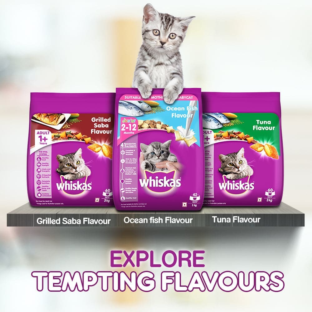 Whiskas Mackerel Flavour Dry Food for Mother and Baby Cat