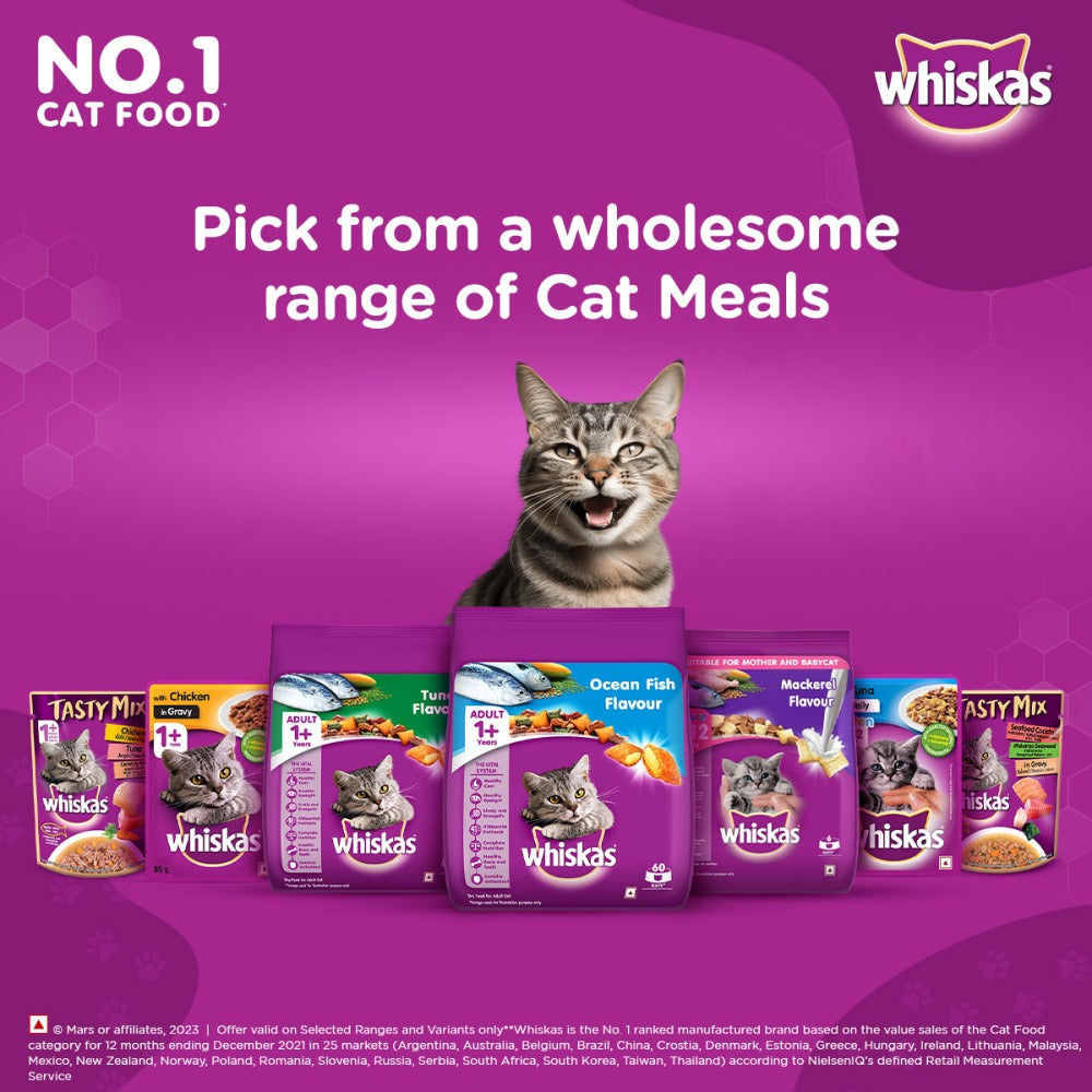 Whiskas Ocean Fish and Tuna Flavour Adult Cat Dry Food Combo