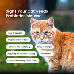 Absolut Pet Probiotics Gut Health Creamy Supplements for Cats