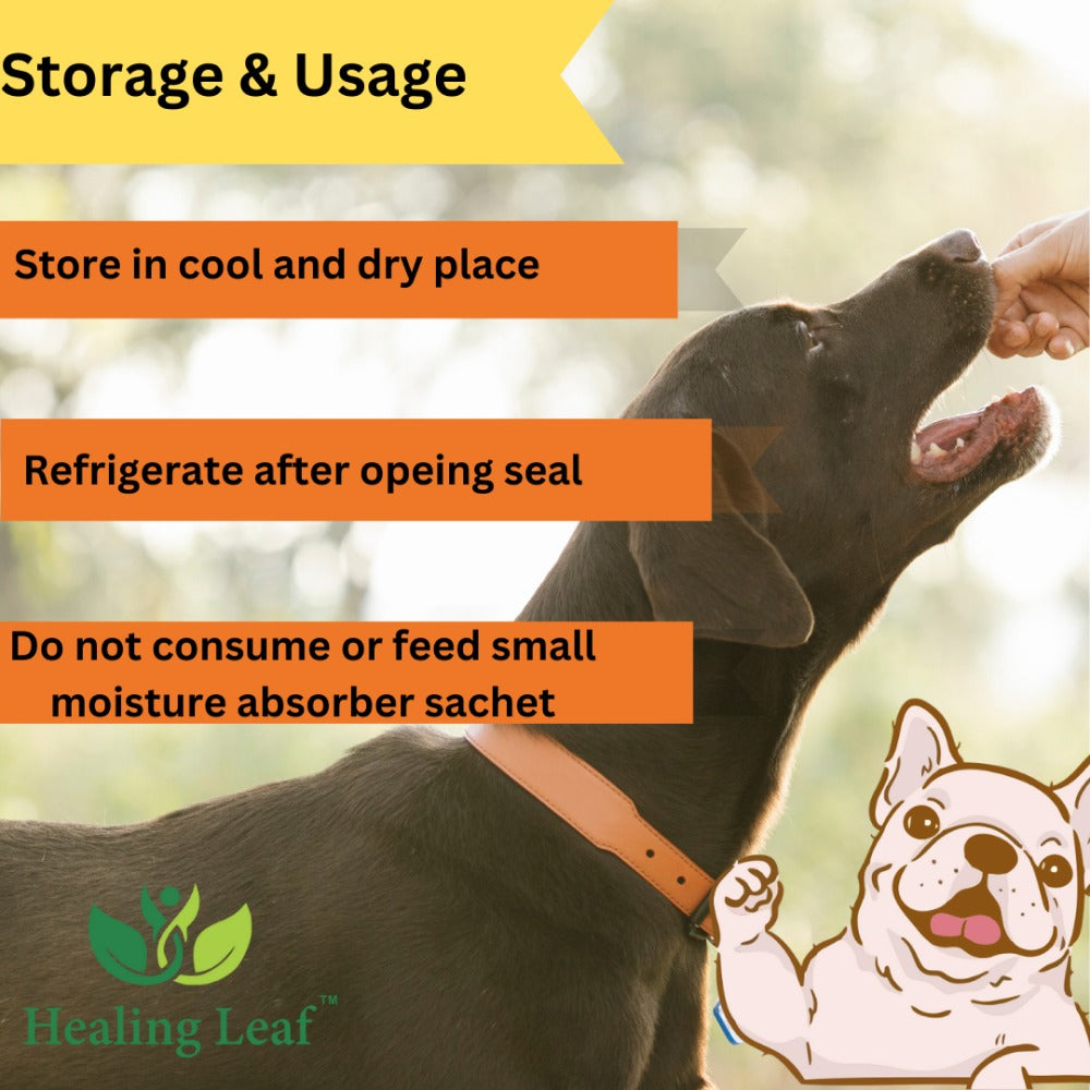 Healing Leaf Hemp Pumpkin Dog Treats