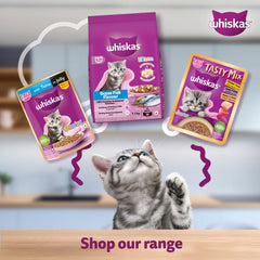 Whiskas Tuna in Jelly Kitten Cat Wet Food (80g)