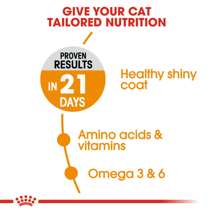 Royal Canin Hair & Skin Care and Persian Adult Cat Dry Food Combo
