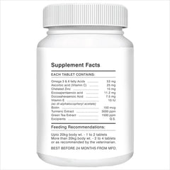 Drools Absolute Skin & Coat and Absolute Vitamin Supplement Tablets for Dogs Combo