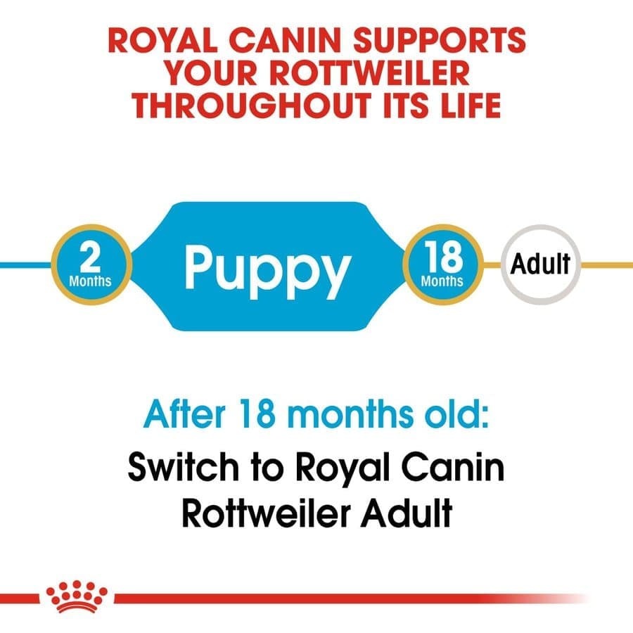 Royal Canin Rottweiler Puppy Dry Food and Maxi Puppy Dog Wet Food Combo