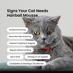 Absolut Pet Hair Ball Relief Creamy Supplement for Cat