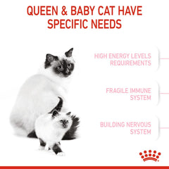 Royal Canin Mother & Babycat Cat Dry Food