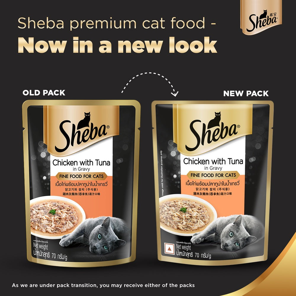 Sheba Chicken With Tuna In Gravy Premium Adult Cat Wet Food and Chicken All Life Stage Cat Dry Food Combo
