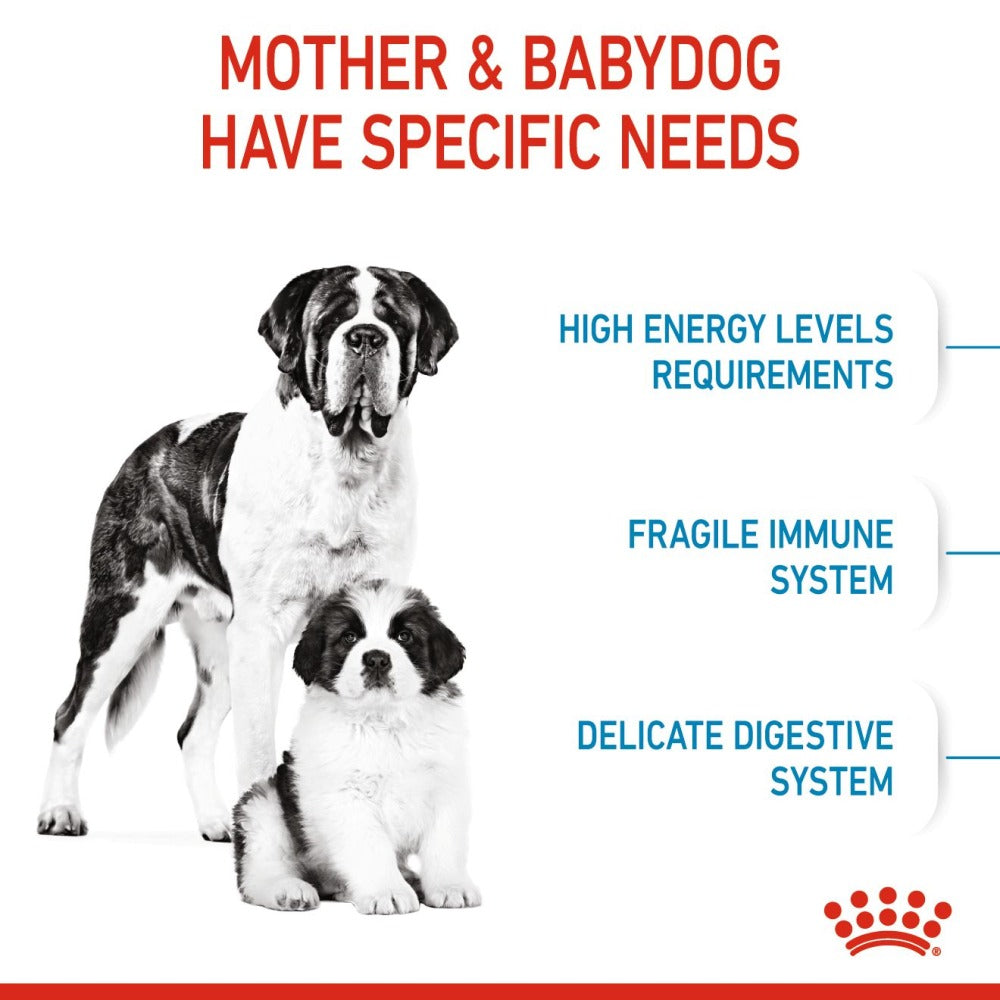 Royal Canin Giant Breed Dog and Puppies Starter Dry Food and Maxi Puppy Dog Wet Food Combo