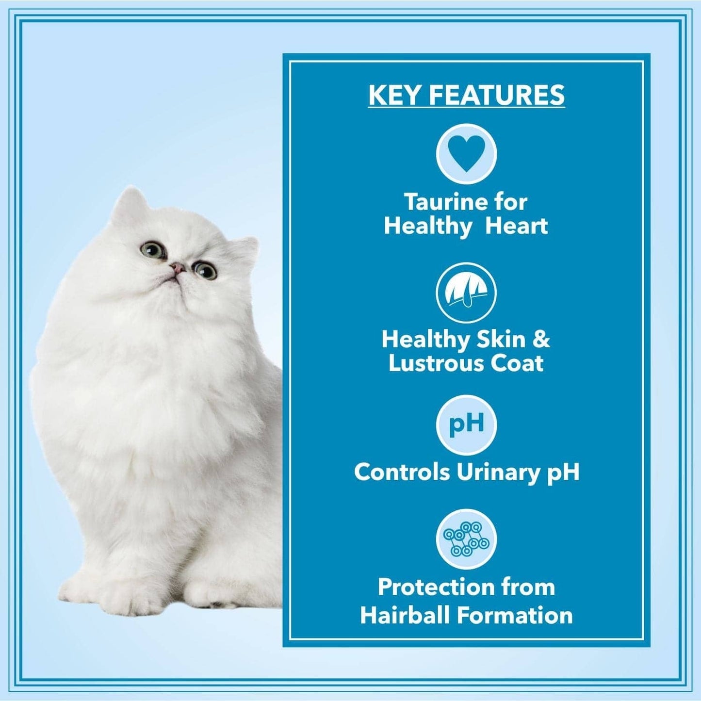 Let's Bite Active Persian Ocean Fish Cat Dry Food