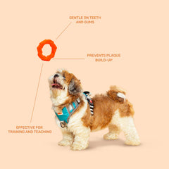 Kibbo Non Toxic Knotted Rubber Ring Chew Toy for Dogs and Cat (Orange)