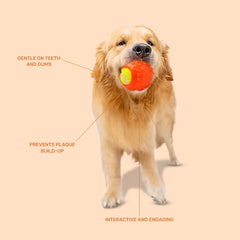 Kibbo Non Toxic Tennis Rubber Ball Chew Toy for Dogs and Cat (Orange)