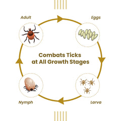 Vivaldis Vi-Fi Forte Spray (Fipronil) Tick & Flea Control for Dogs & Cats (100ml)