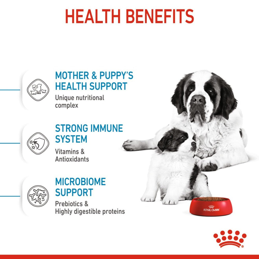 Royal Canin Giant Breed Dog and Puppies Starter Dry Food and Maxi Puppy Dog Wet Food Combo