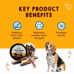 Goofy Tails Blueberry and Apple Active Dental Twists Dog Treats