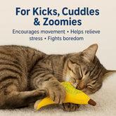Talking Dog Club Go Bananas Catnip Toy for Cats (Yellow)