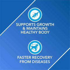 Drools Absolute Vitamin And Skin & Coat Supplement Tablets for Dogs Combo