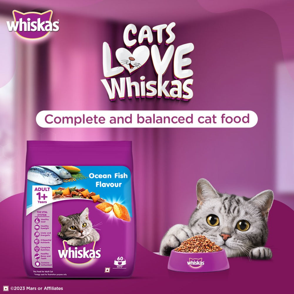 Whiskas Ocean Fish and Tuna in Jelly Meal Adult Cat Wet and Dry Food Combo