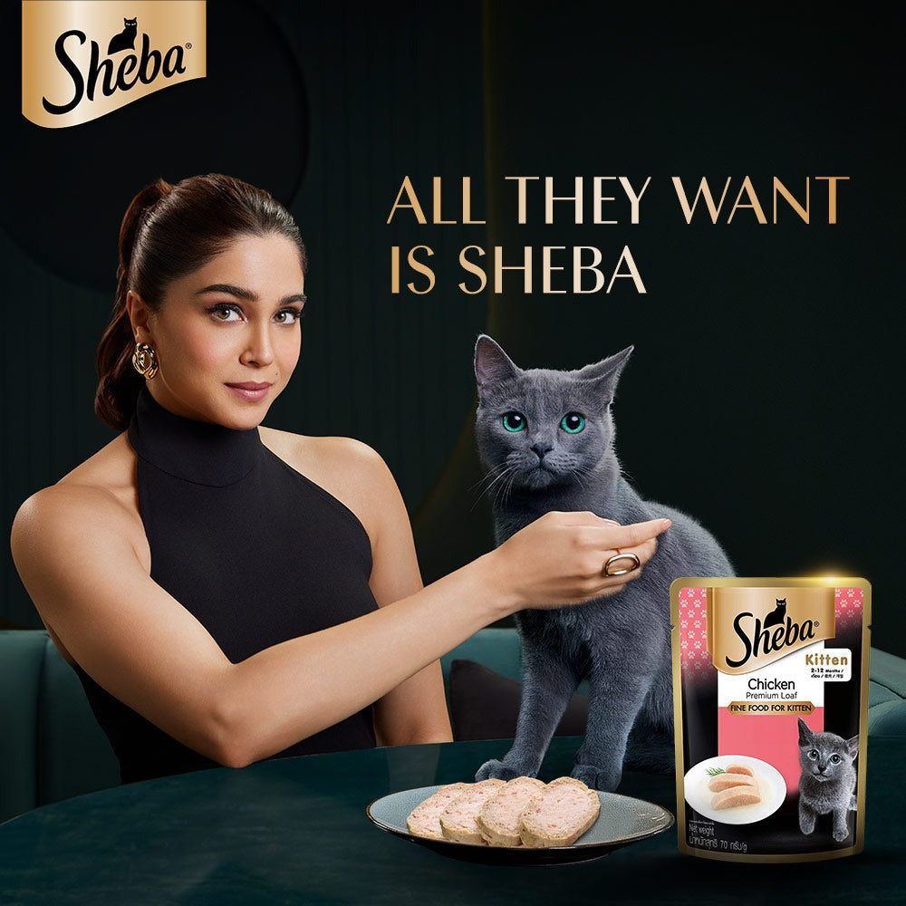 Sheba Chicken Loaf Rich Premium Kitten (2 to 12 Months) Fine Cat Wet Food