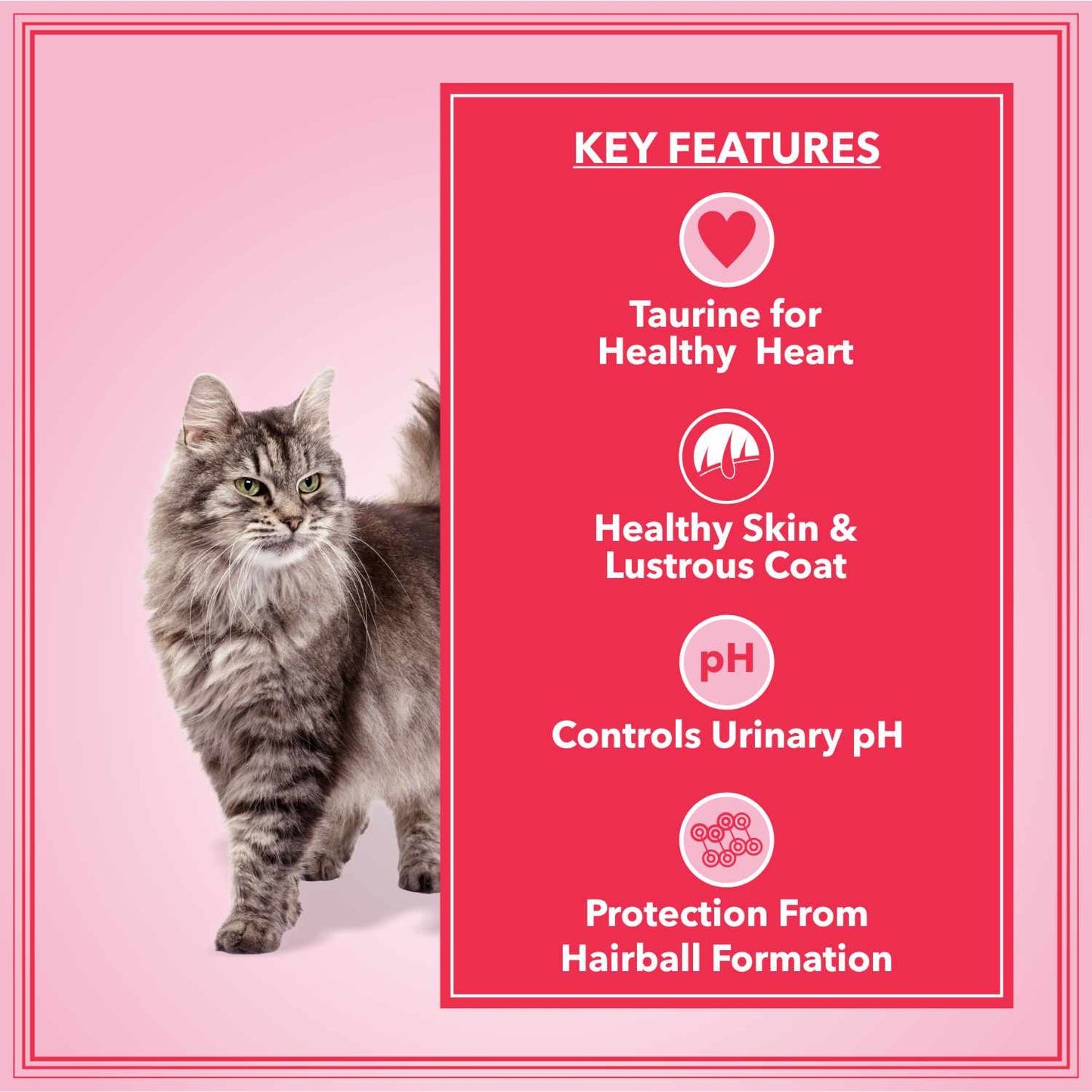 Let's Bite Active Adult Ocean Fish Dry Cat Food