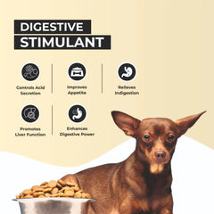 FurBall Story Pacho Relieves Stomach Issues Syrup for Dogs & Cats