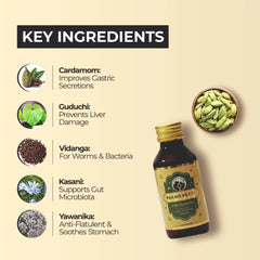 FurBall Story Pacho Relieves Stomach Issues Syrup for Dogs & Cats