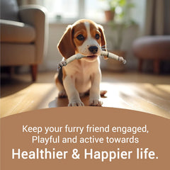 Bowlers Chewrope Caterpillar Functional Dog Treat Toy