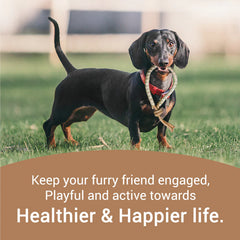 Bowlers Chewrope Bight Functional Dog Treat Toy