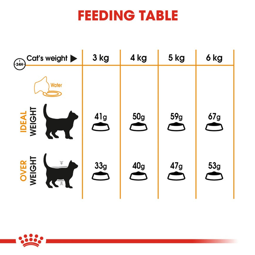 Royal Canin Hair & Skin Care and Persian Adult Cat Dry Food Combo