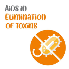 Vivaldis Entero Secure BD Tablet for Dogs and Cats