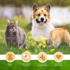 Petkin Peanut Butter Plaque Gel for Dogs and Cats