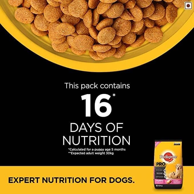 Pedigree PRO Expert Nutrition for Large Breed Puppy Dry and Chicken Chunks in Gravy Puppy Wet Food Combo