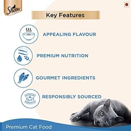 Sheba Maguro & Bream Fish Mix Premium Cat Wet Food and Salmon Flavour Irresistible All Life Stages Cat Dry Food Combo