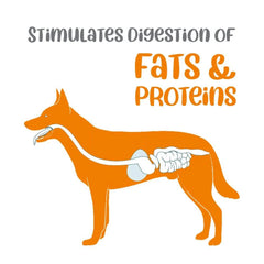 Vivaldis Entero Secure BD Tablet for Dogs and Cats