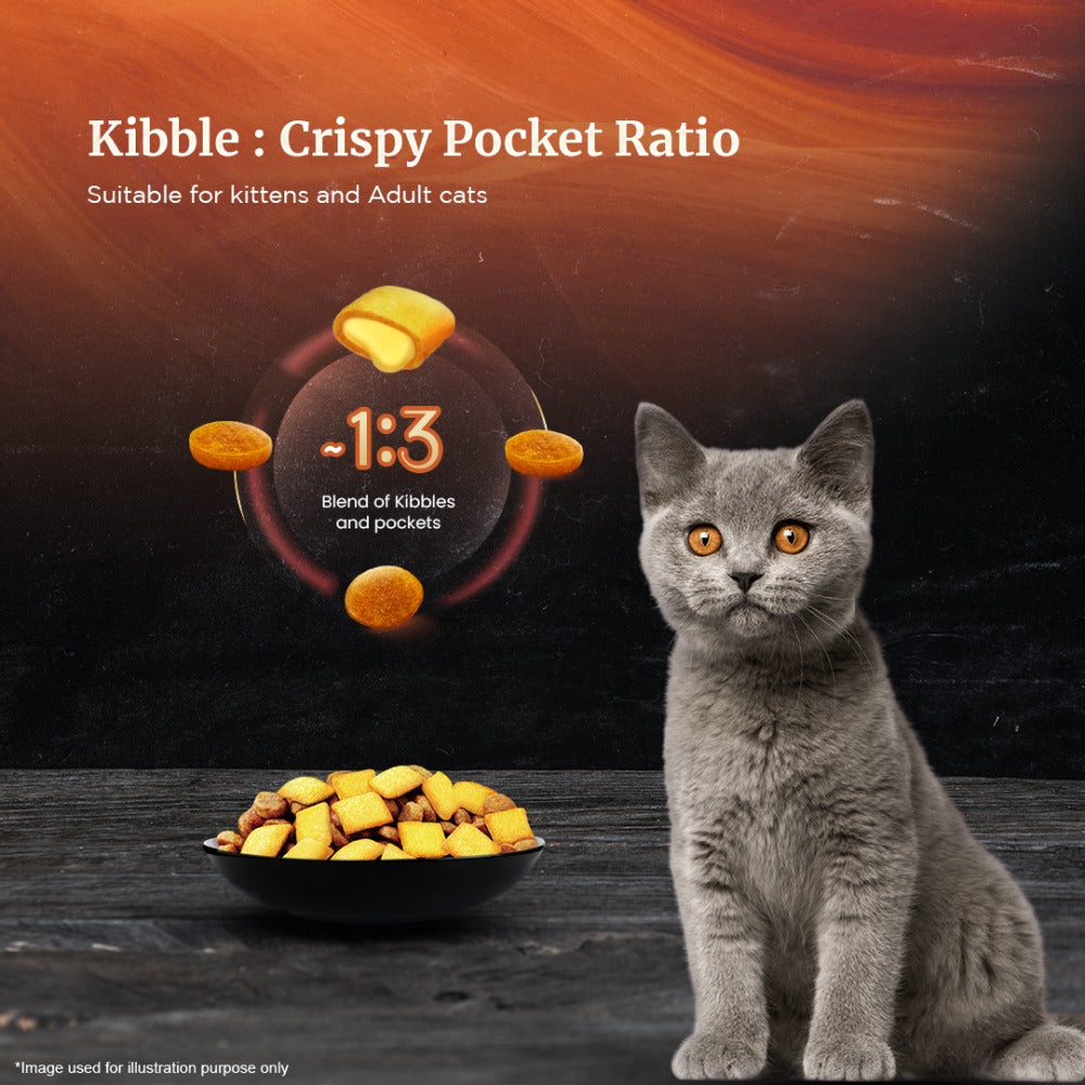 Sheba Chicken Loaf Premium Kitten (2 to 12 Months) Wet Food and Chicken All Life Stage Cat Dry Food Combo