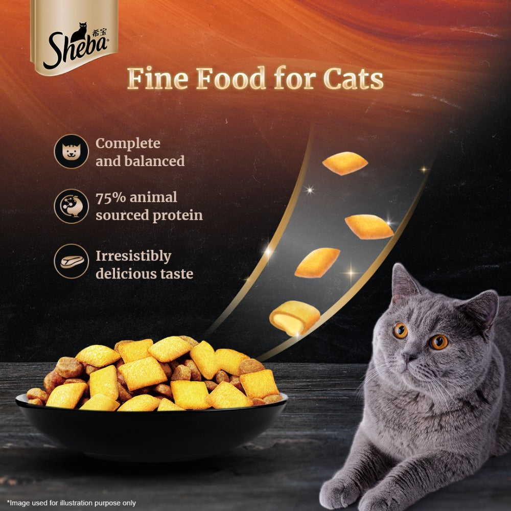 Sheba Chicken Loaf Premium Kitten (2 to 12 Months) Wet Food and Chicken All Life Stage Cat Dry Food Combo