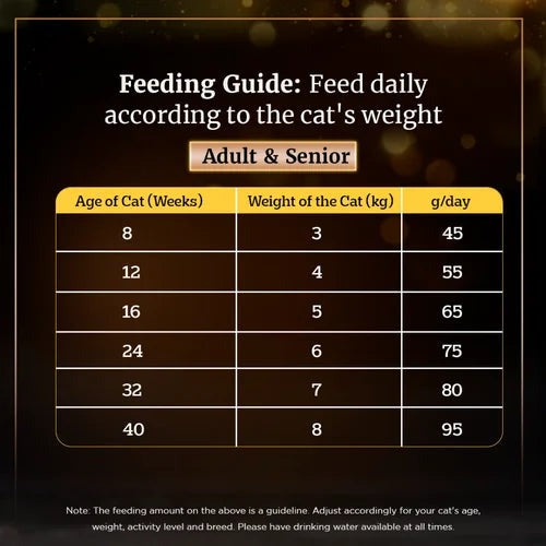 Sheba Chicken Flavour Irresistible All Life Stage Cat Dry Food