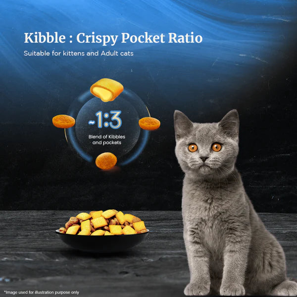 Sheba Skipjack & Salmon Fish Mix Cat Wet Food and Salmon Flavour Irresistible All Life Stages Cat Dry Food Combo