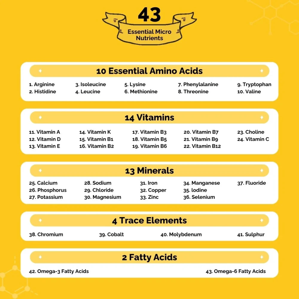 PetStrong Chicken and Rice Fresh Food and 2.2 Meal Protein Booster for Dogs Combo