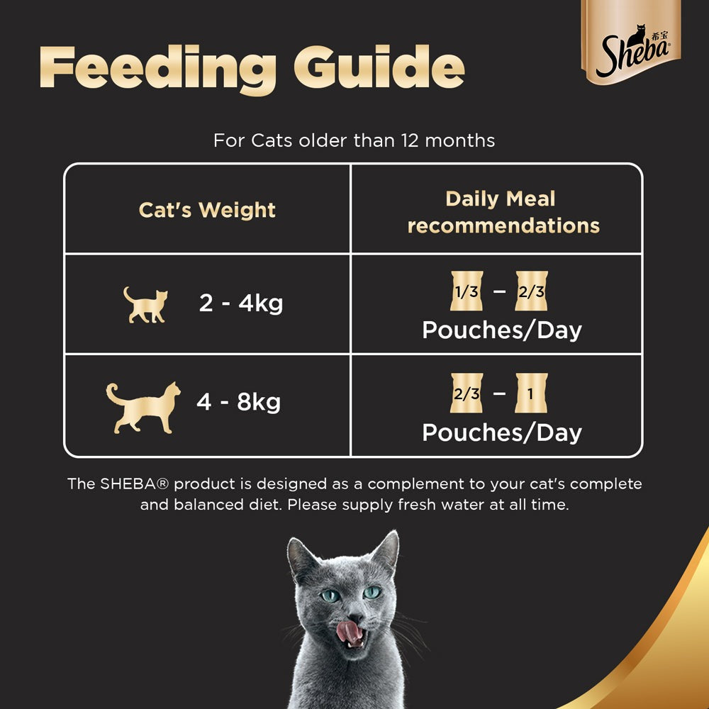 Sheba Chicken With Tuna In Gravy Premium Adult Cat Wet Food and Chicken All Life Stage Cat Dry Food Combo