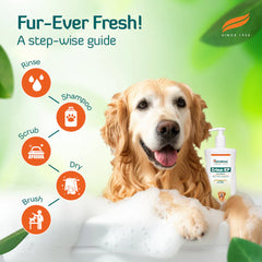 Himalaya Erina EP Tick & Flea Shampoo with Drools Absolute Calcium Supplement Tablets Dog Combo