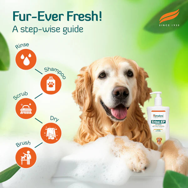 Himalaya Erina EP Tick and Flea Shampoo and Himpyrin Anti Inflammatory & Pain Relief Drops for Dogs and Cats Combo