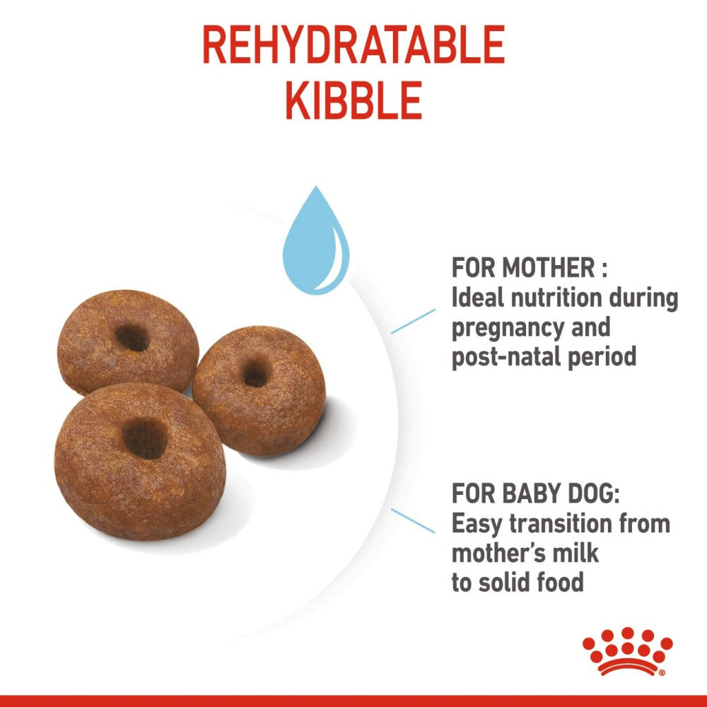 Royal Canin Giant Breed Dog and Puppies Starter Dry Food and Maxi Puppy Dog Wet Food Combo