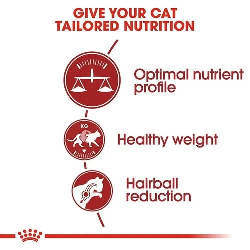 Royal Canin Fit 32 Dry Food and Instinctive Adult Gravy Cat Wet Food Combo