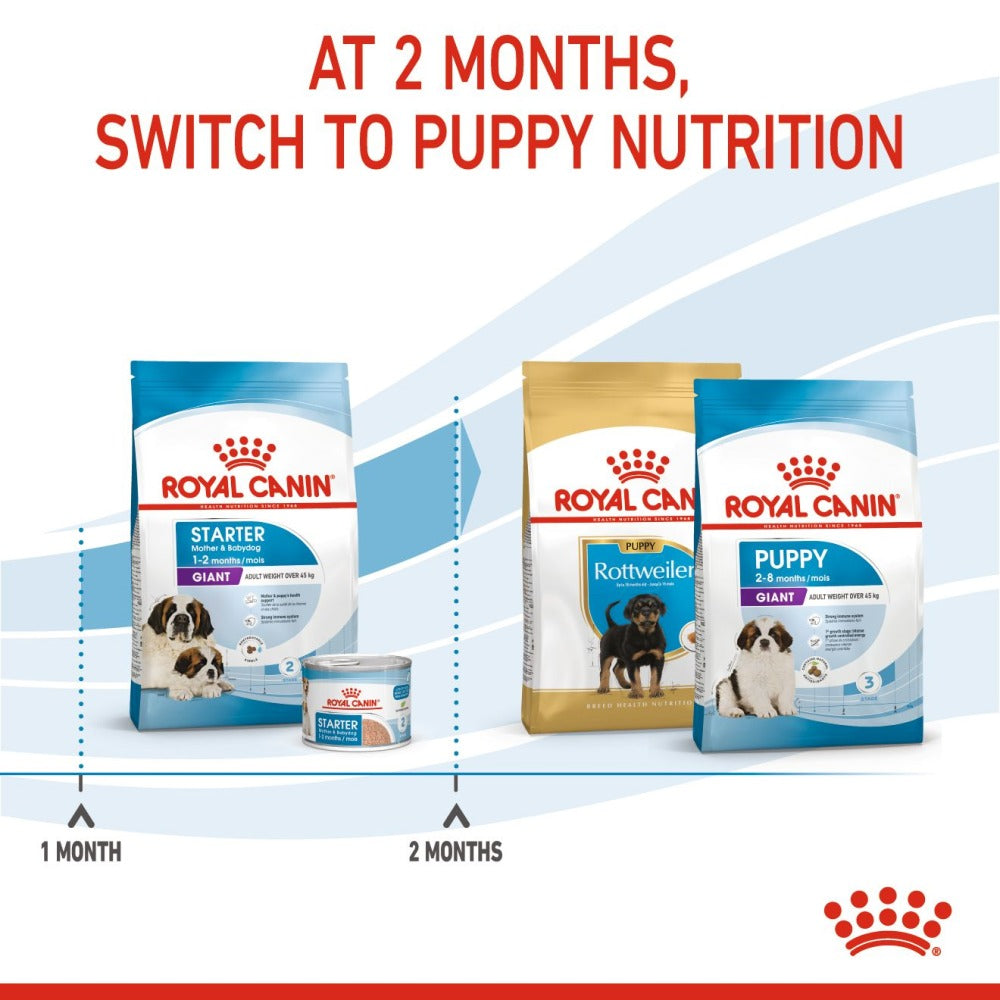 Royal Canin Giant Breed Dog and Puppies Starter Dry Food and Maxi Puppy Dog Wet Food Combo