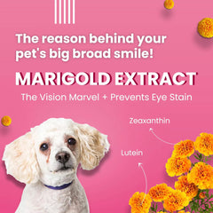 Bark Out Loud Tear Stains Eyebright Chew Stix Dog Treats