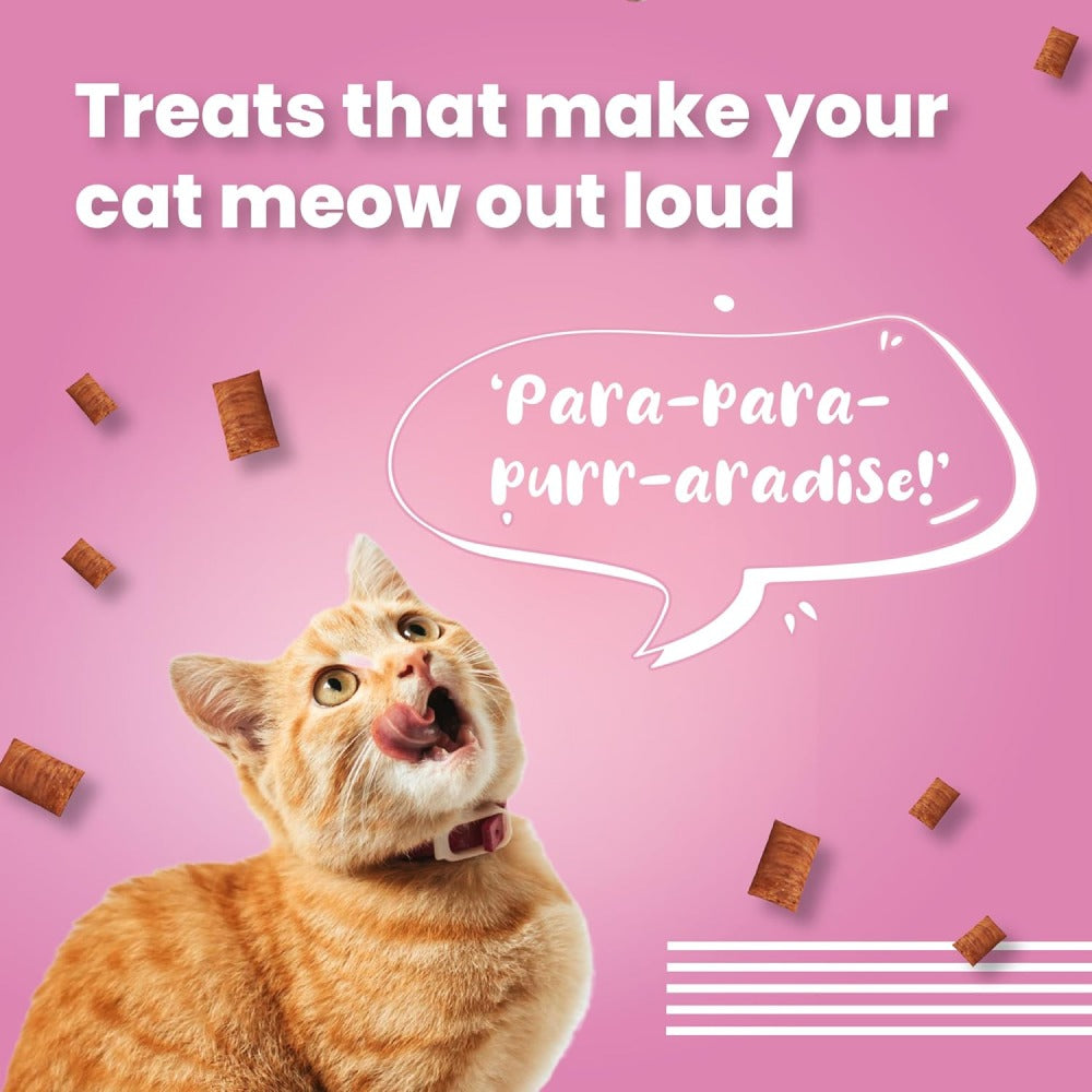 Bark Out Loud by Vivaldis Hairball Control and Sensitive Gut Pillow Cat Treats Combo