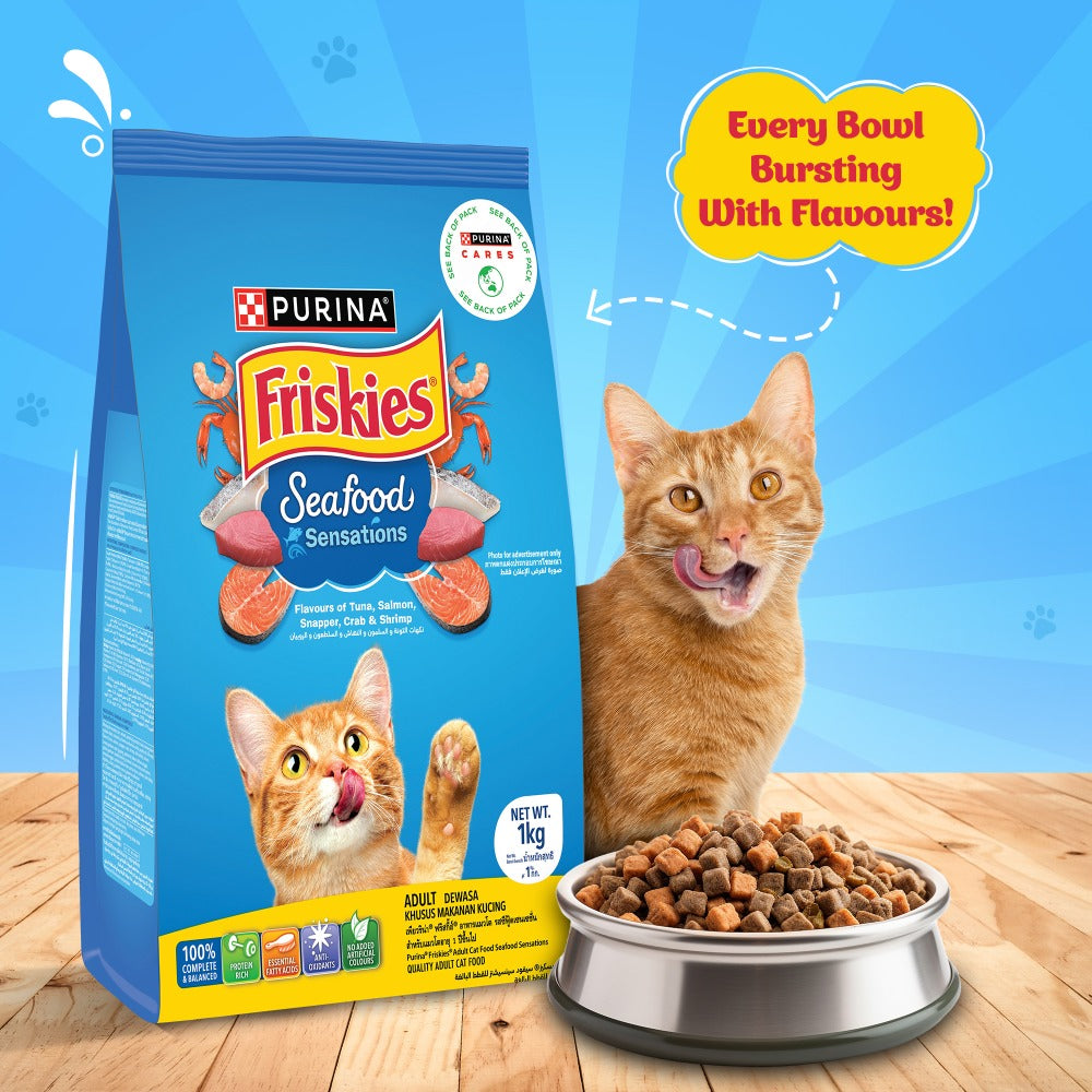 Friskies Seafood Cat Dry Food and Purina Felix Salmon with Jelly Adult Cat Wet Food Combo