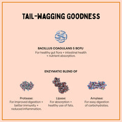 Furlicks Gut Health Supplement and Himalaya Himpyrin Anti Inflammatory & Pain Relief Drops Combo for Dogs and Cats